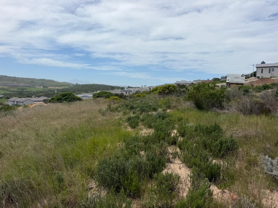 0 Bedroom Property for Sale in Reebok Western Cape